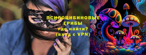 Альфа ПВП Горнозаводск