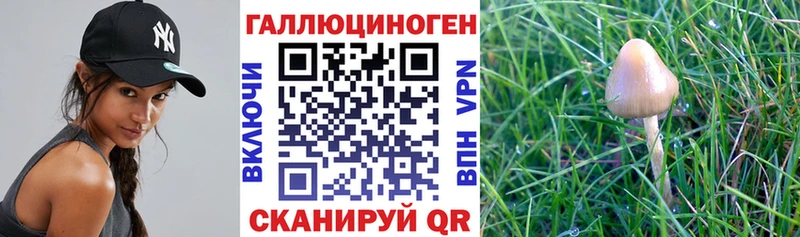 Галлюциногенные грибы MAGIC MUSHROOMS  Пермь 